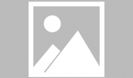 漫画纯情陆少,校园里的甜蜜逆袭